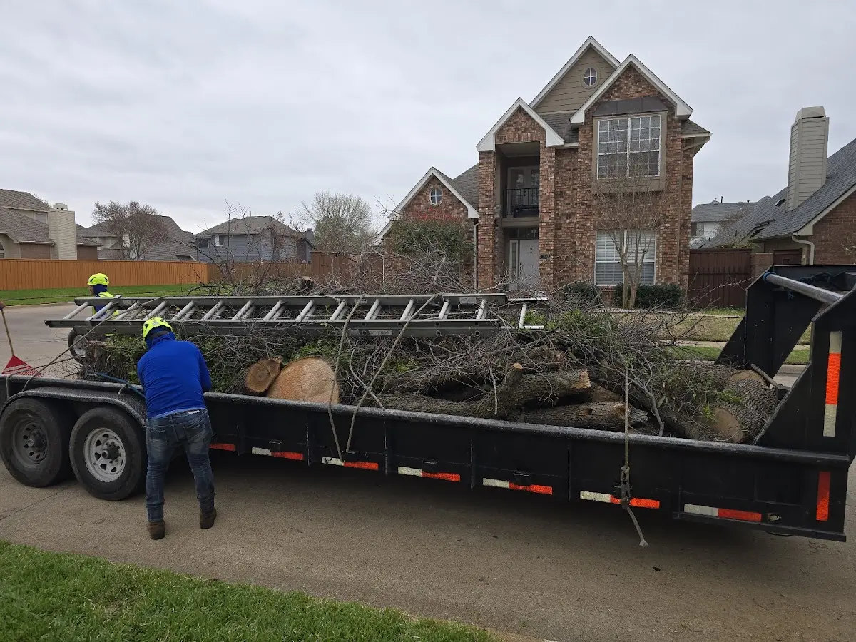 Expert Tree Pest Control with proper safety equipment in Strawberry Point